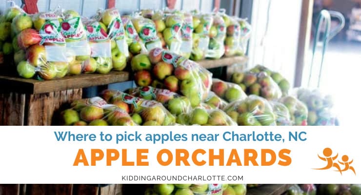 Apple Orchards Near Charlotte, NC