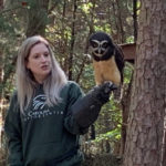 Raptor Center question and answer with an owl