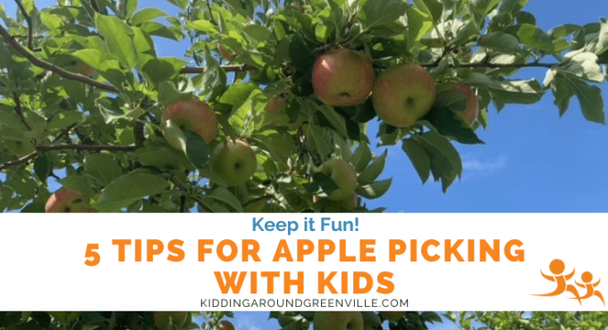 Apple Picking with Kids