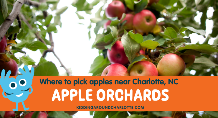 Apple orchards near Charlotte, NC