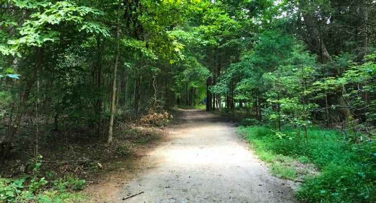 Trail system at Reedy Creek Park in Charlotte