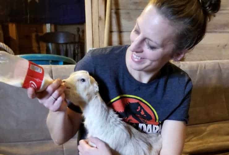 Feeding baby goats at Possum Kingdom Kreamery