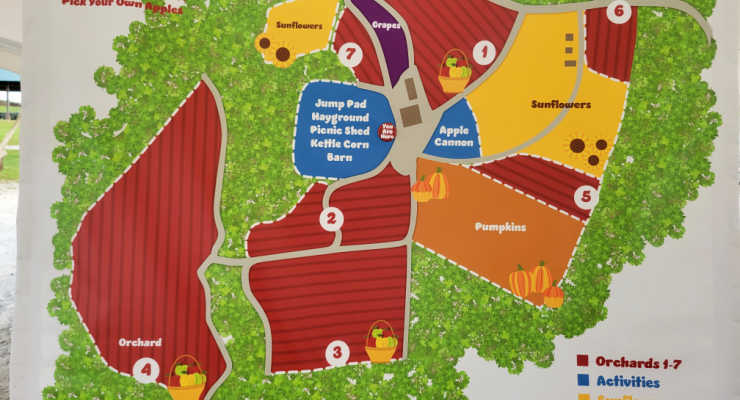 Stepp's Apple Orchard Map