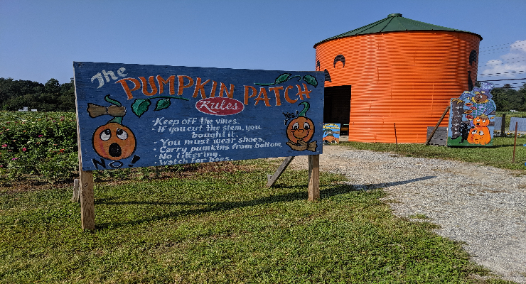 Nix Pumpkin Patch pick your own pumpkins