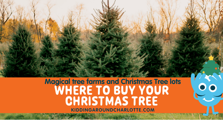 Christmas Tree farm, Charlotte, NC