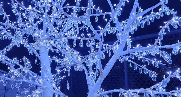 Crystal trees at the Speedway Lights Christmas Village