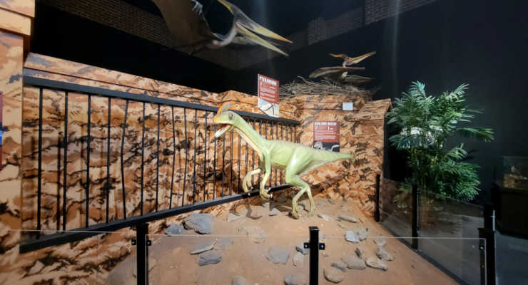 Schiele Museum Dinosaur exhibit
