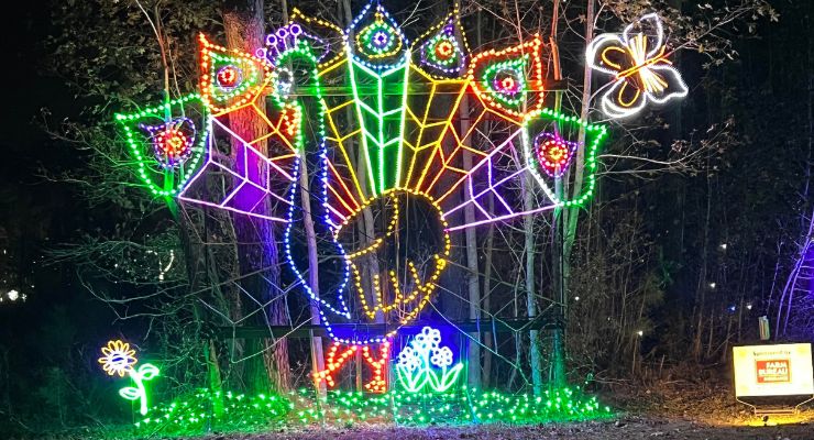 Turkey at Holiday Lights on the River 2022 in Columbia, SC