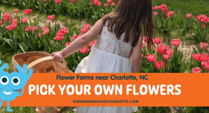 Pick Your Own Flowers in Charlotte, NC