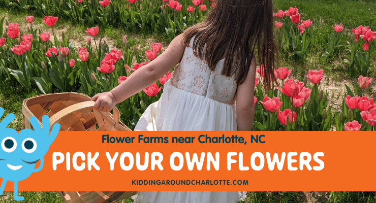 Pick your own flowers in Charlotte NC