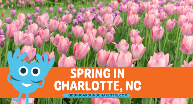 Spring in Charlotte, NC