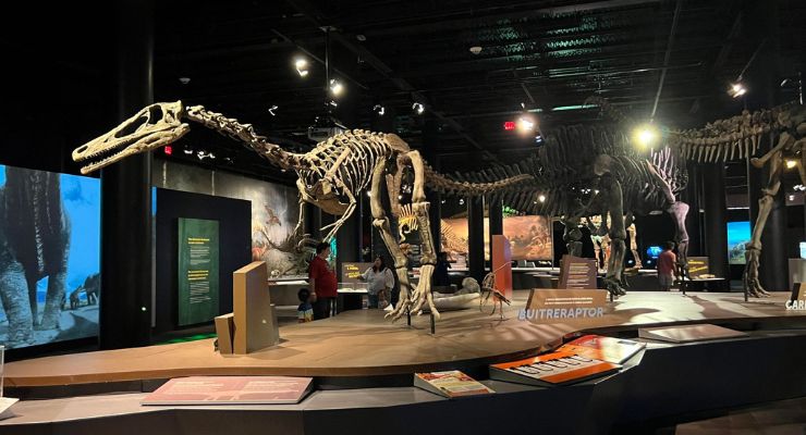 Discovery Place Dinosaurs