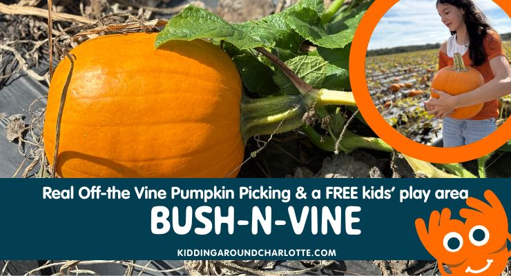 Bush-N-Vine pick your own pumpkins