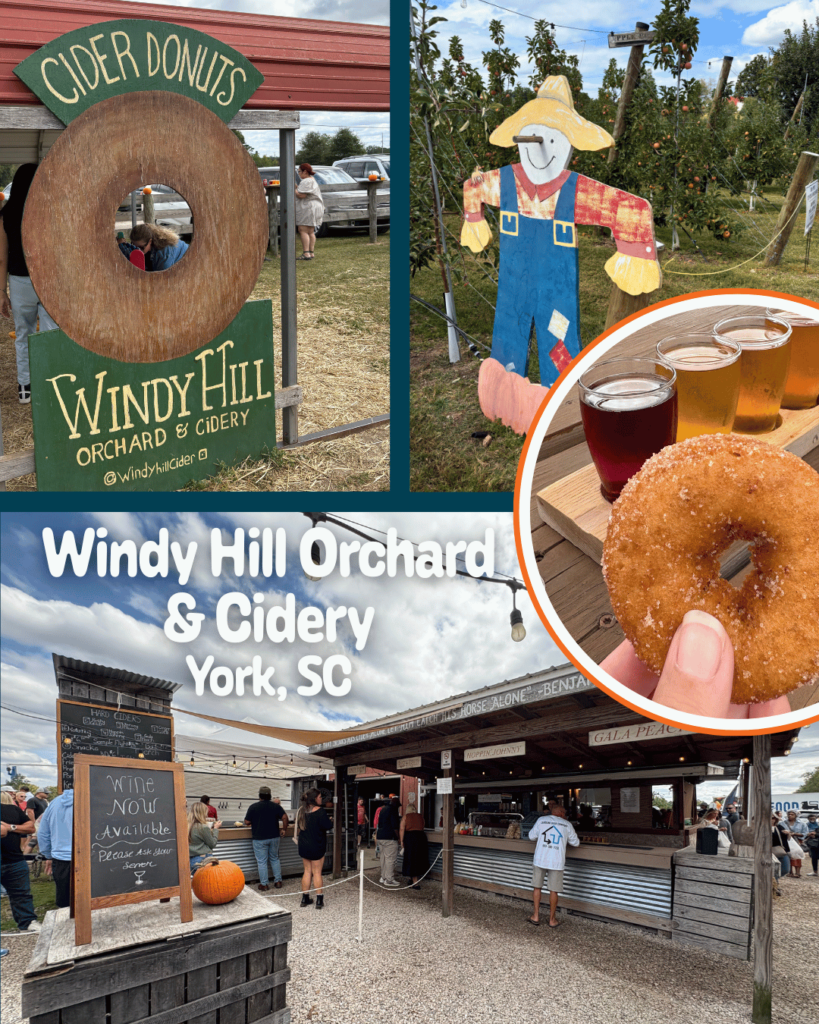 Windy Hill Orchard & Cidery in York, SC