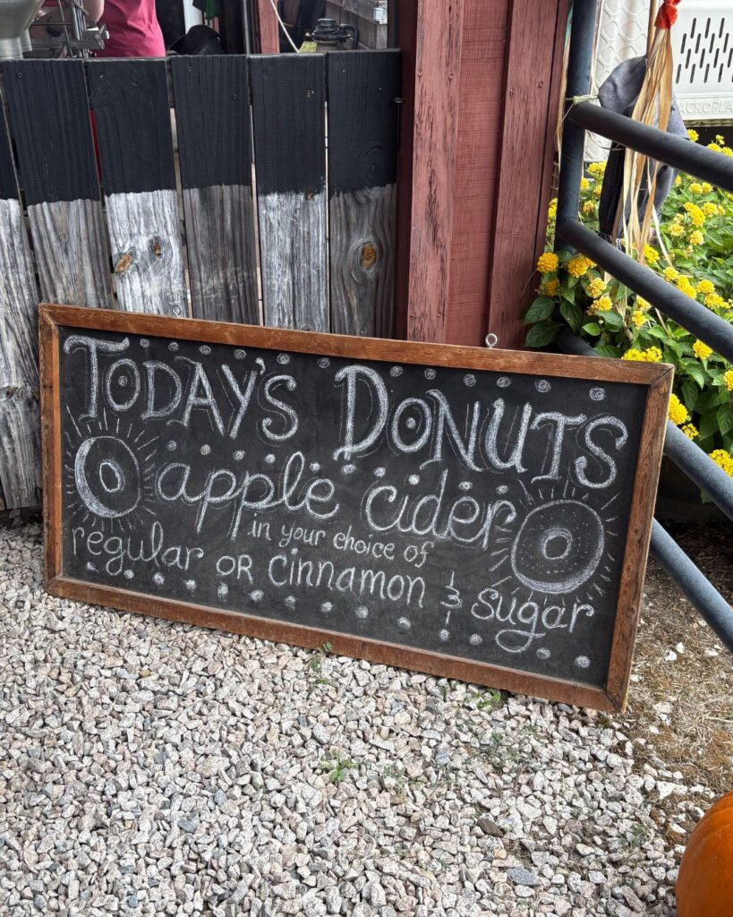 Windy Hill Cider donuts