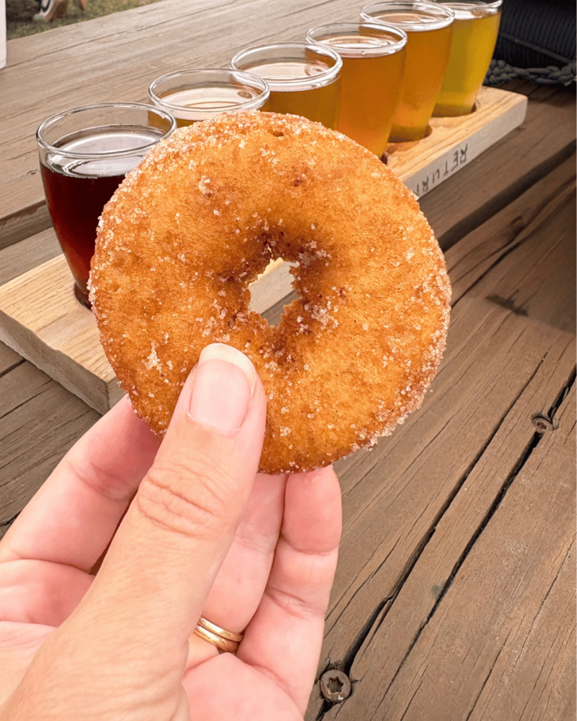 Cider donuts and hard cider flight at Windy Hil Orchard in York, SC
