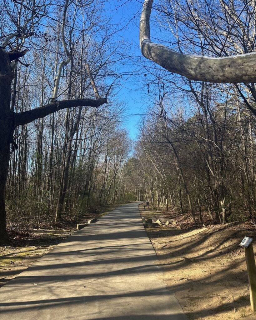 Path at 4 Mile Creek Greenway