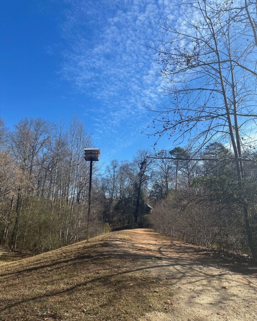 Birdhouse at 4 Mile Creek Greenway