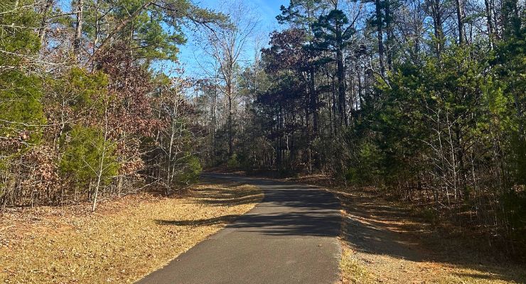 Paved trail at Beatty Park