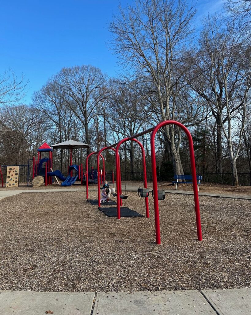 William R. Davie Parkswings