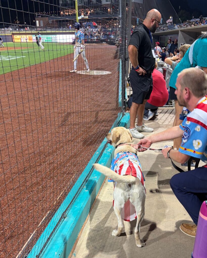 Don't miss Kacey the Bat Dog who retrieves the player bats! We thought she was just adorable!