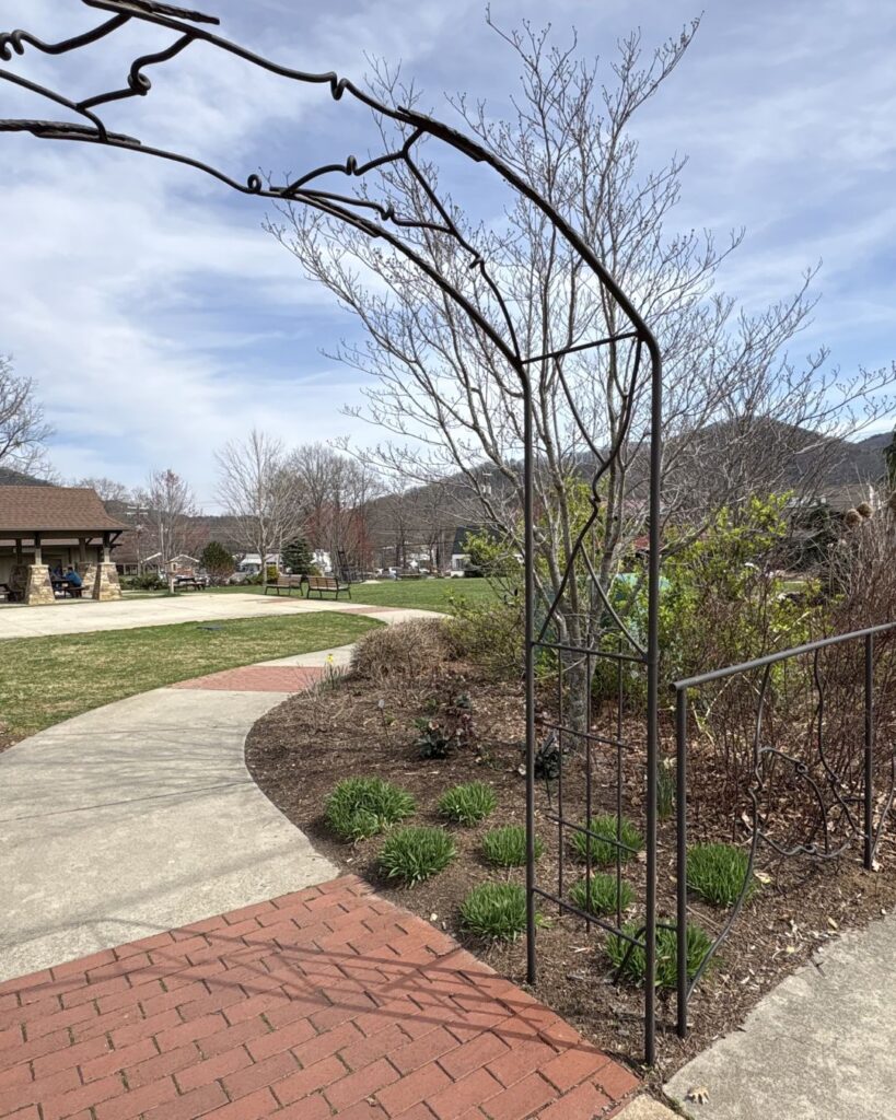 Black Mountain Towne Square