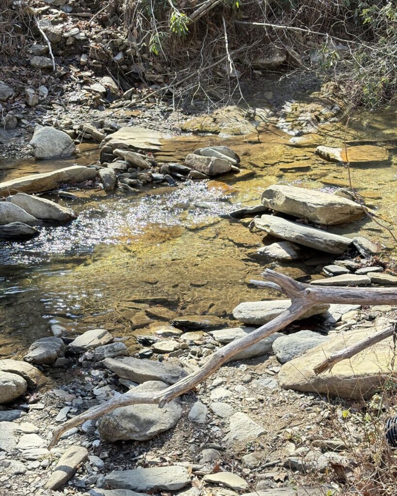 Catawba Falls Trail