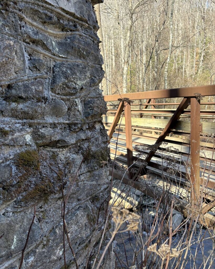 On the trail to Catawba Falls