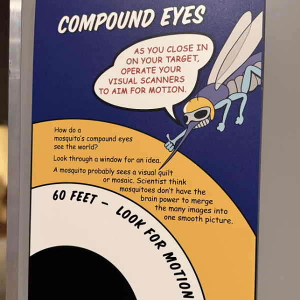 Museum of York County Exhibit on Mosquitos