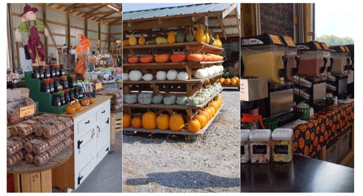 Nix Pumpkin Patch store